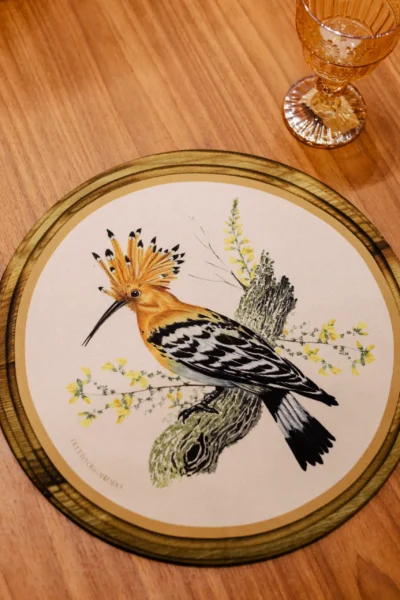 CERRADO - CAPA DE SOUPLAST