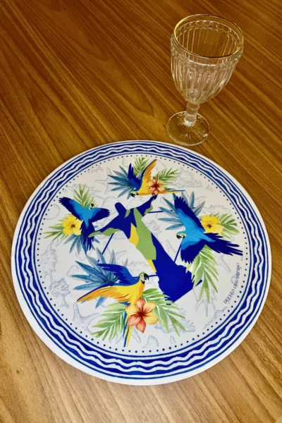 RIO BRASIL - CAPA DE SOUSPLAT