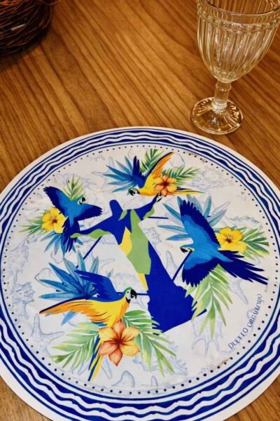 RIO BRASIL - CAPA DE SOUSPLAT