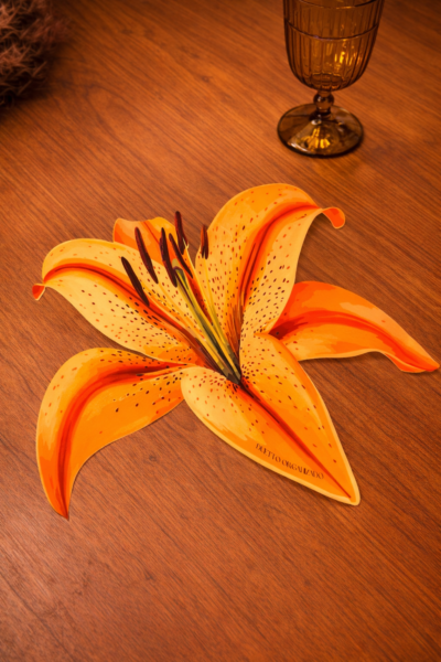 LIRÍO LARANJA- AMERICANO  ORGÀNICO